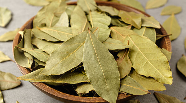 Bay Leaf (Tej Patta)
